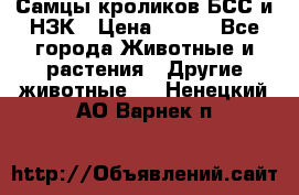 Самцы кроликов БСС и НЗК › Цена ­ 400 - Все города Животные и растения » Другие животные   . Ненецкий АО,Варнек п.